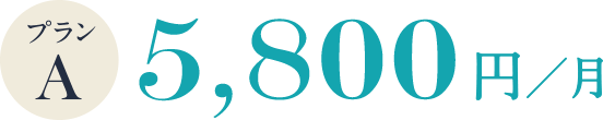 プランA 5,800円/月